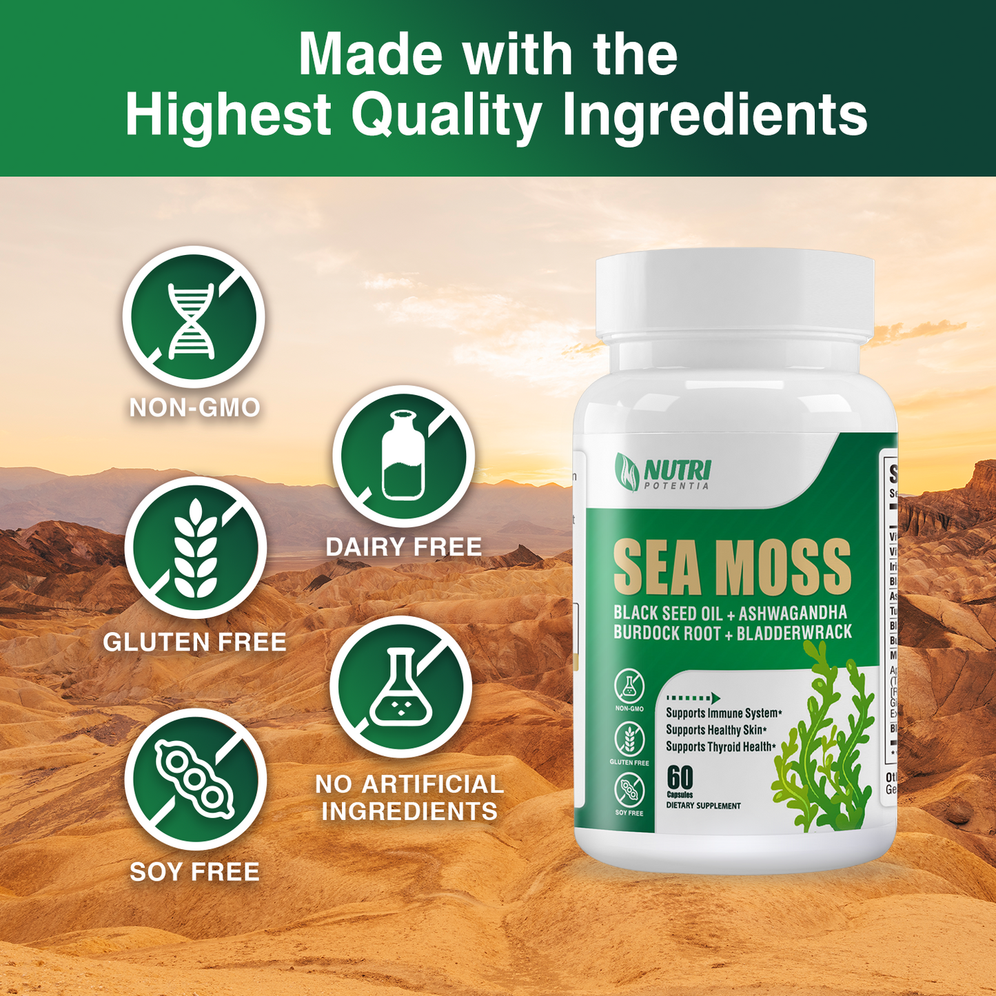 Irish Sea Moss Capsules, Black Seed Oil, Ashwagandha, Turmeric, Bladderwrack, Burdock - Immune Support, Joint and Gut Health Supplement - 60 Capsules