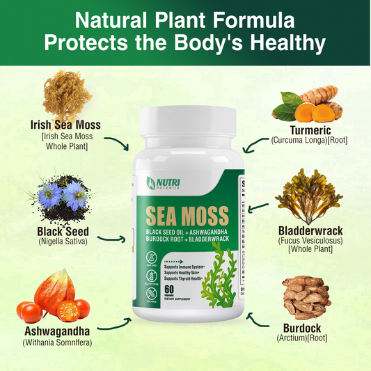 The Power of the Sea with Our Seamoss Supplements