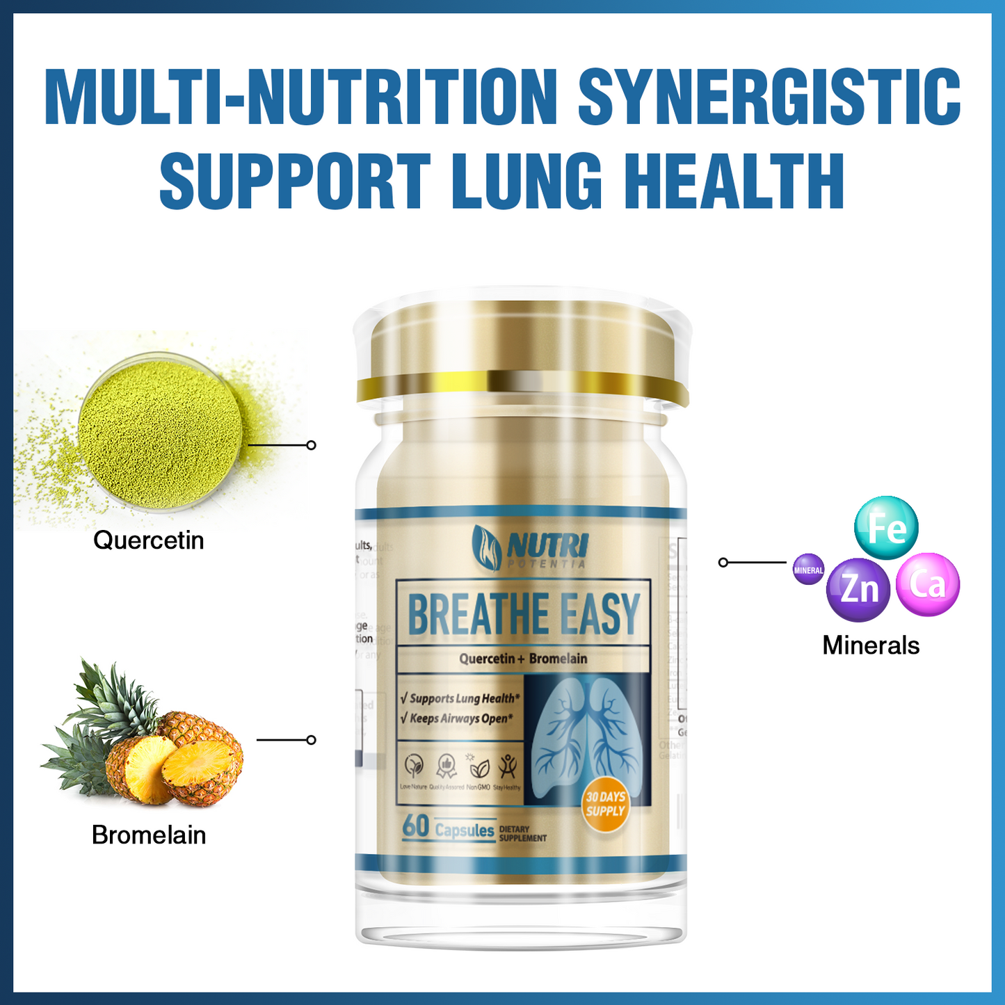 BREATHE EASY - Lung Support Supplement with Quercetin & Bromelain, Lung Cleanse & Detox Formula, Non-GMO, 60 Capsules