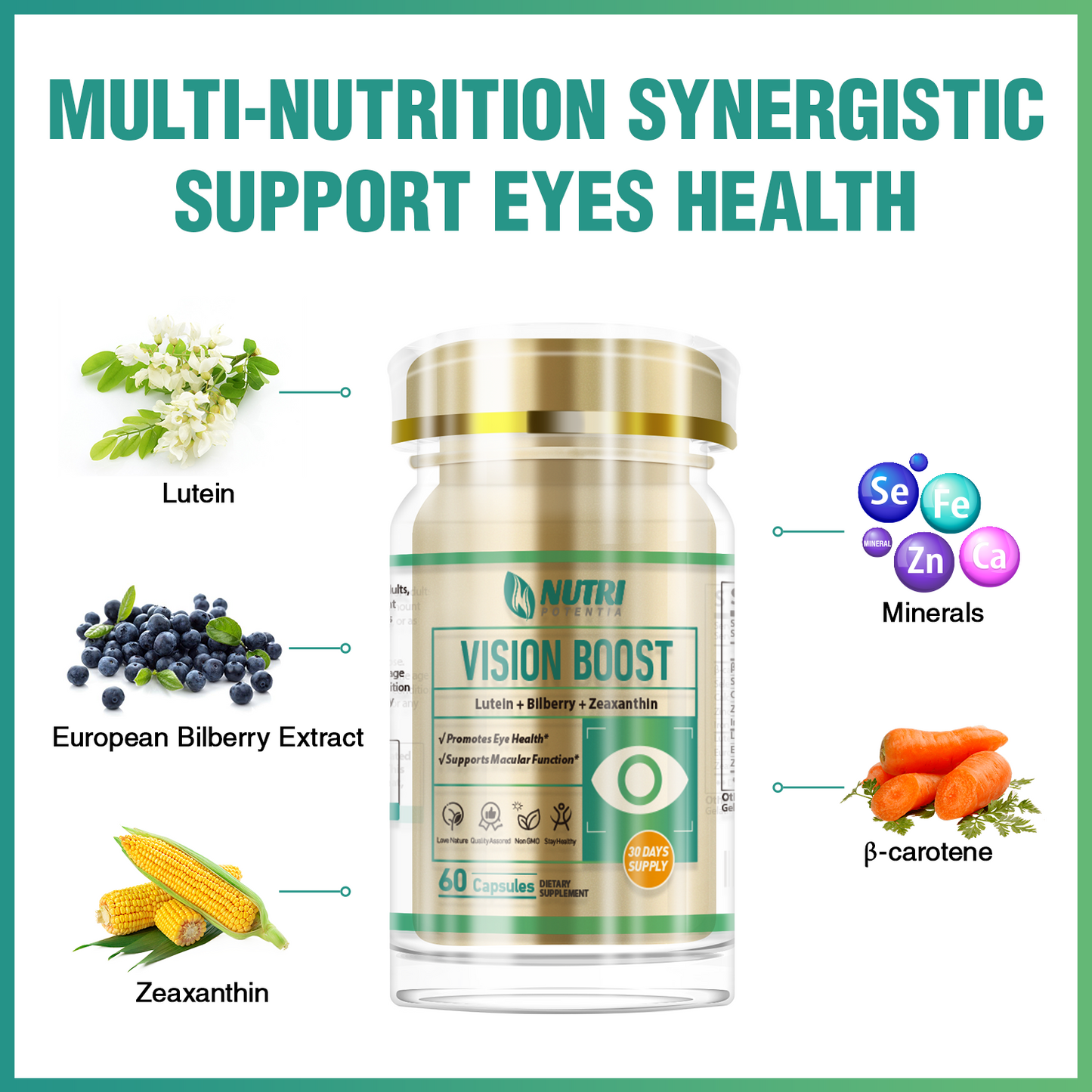 VISION BOOST - Lutein & European Bilberry Extract - Promotes Eye Health & Supports Macular Function- 60 Capsules