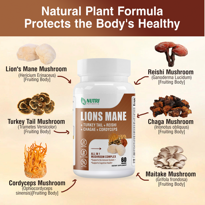 Lion's Mane Mushroom Supplement Capsules - Brain Booster, Mushroom Complex with Turkey Tail, Reishi, Cordyceps - Helps Maintain Cognitive Function, Energy & Focus - 60 Capsules