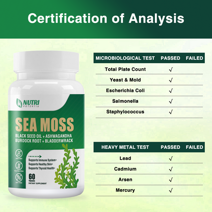 Irish Sea Moss Capsules, Black Seed Oil, Ashwagandha, Turmeric, Bladderwrack, Burdock - Immune Support, Joint and Gut Health Supplement - 60 Capsules