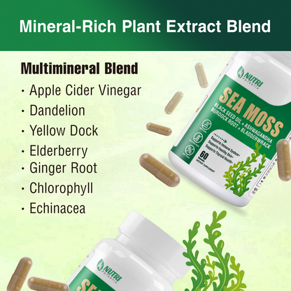 Irish Sea Moss Capsules, Black Seed Oil, Ashwagandha, Turmeric, Bladderwrack, Burdock - Immune Support, Joint and Gut Health Supplement - 60 Capsules