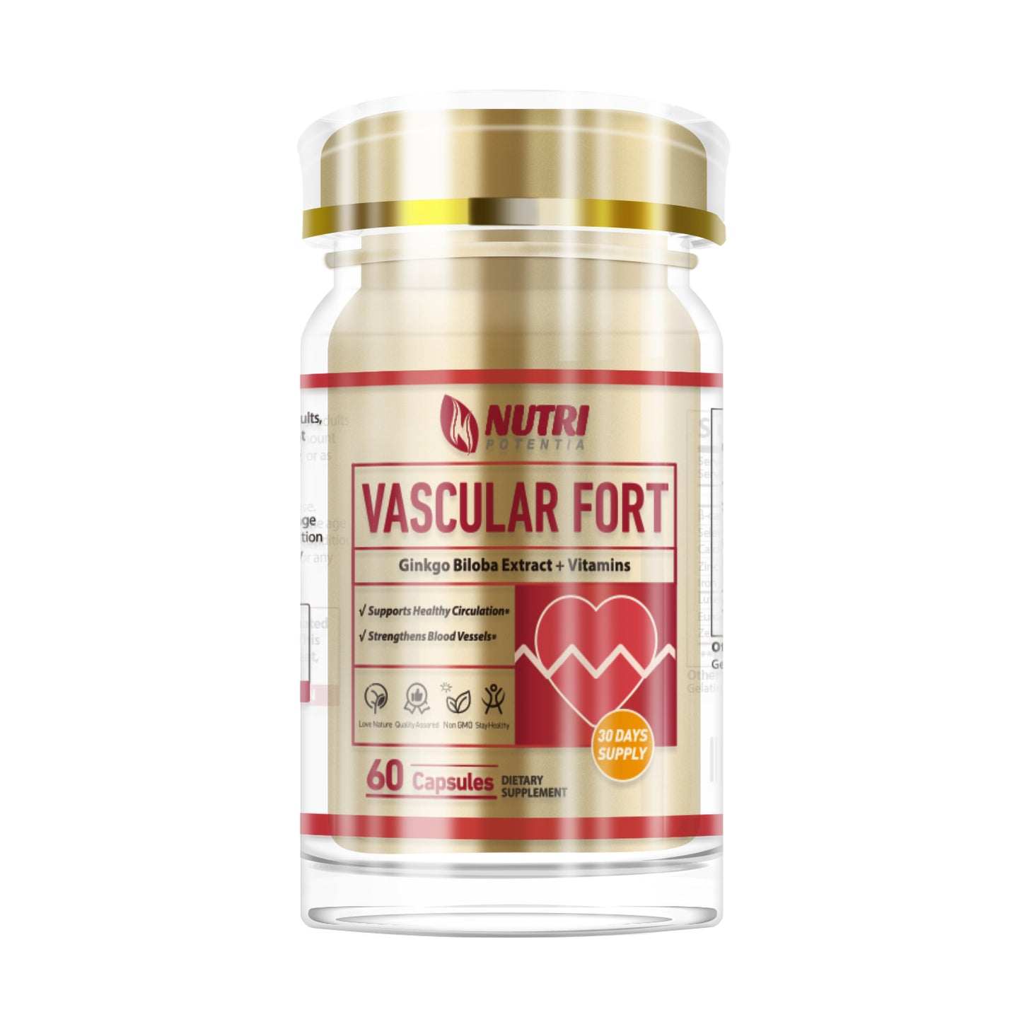 VASCULAR FORT - Ginkgo Biloba Extract + Vitamins & Mineral Supplement, Supports Brain Function - 60 Capsules